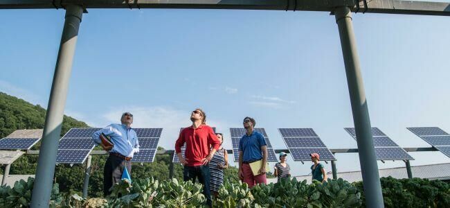 Imagem Venda e Instalação de Sistemas Fotovoltaicos On-Grid